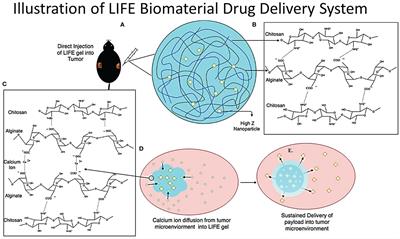 A liquid immunogenic fiducial eluter for image-guided radiotherapy